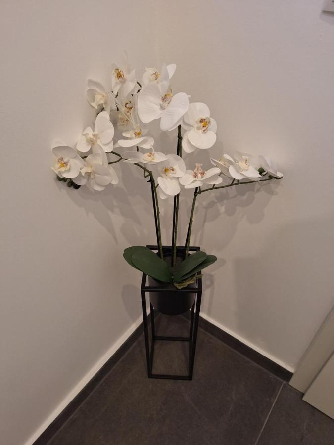 브레멘 Ferienhaus Aycu 아파트 외부 사진